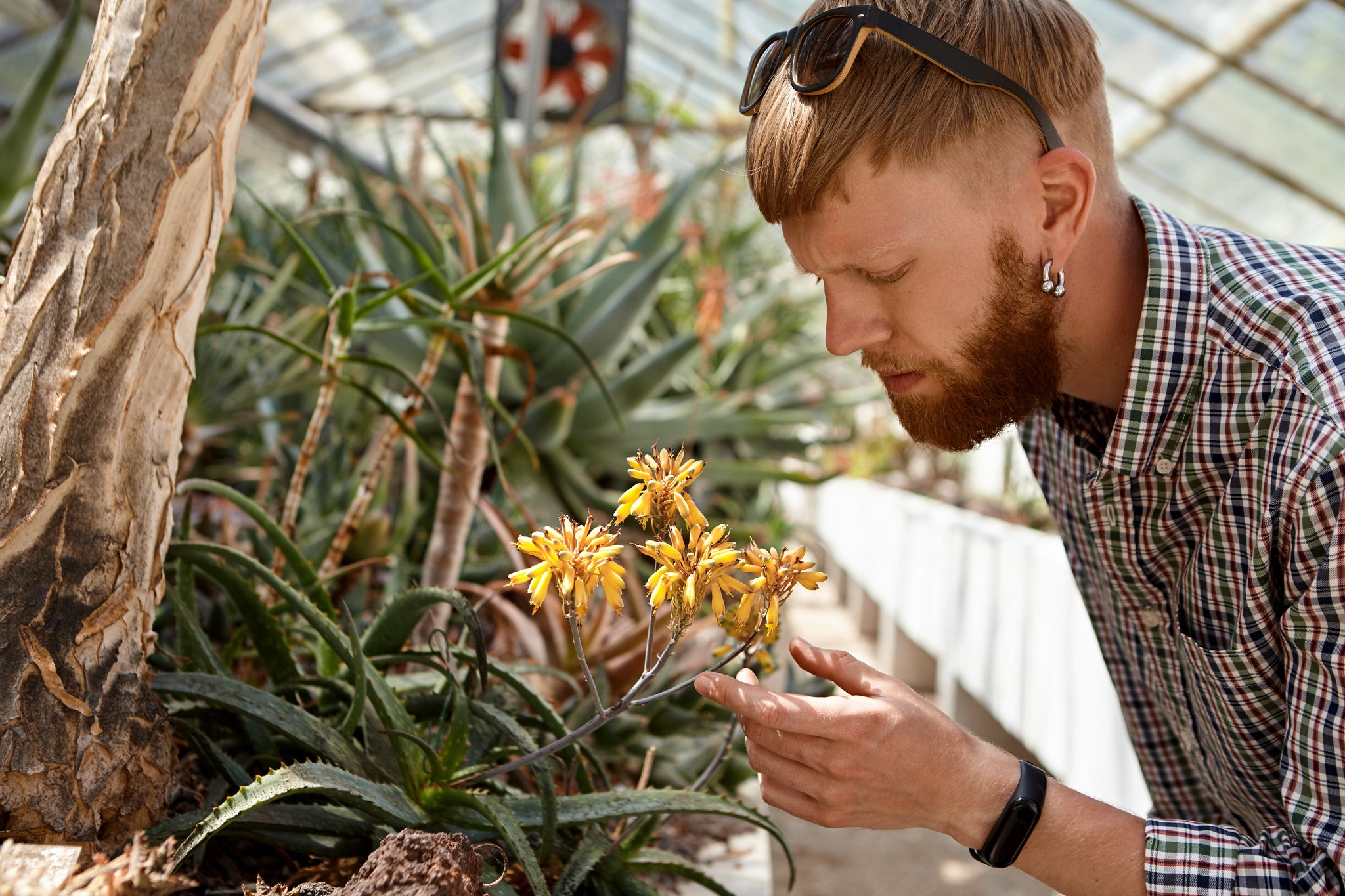 Gardening for Wellness – How Plants Can Reduce Stress