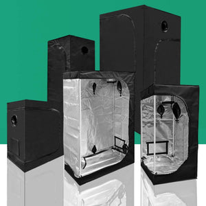 Box Tents for Growing Plants