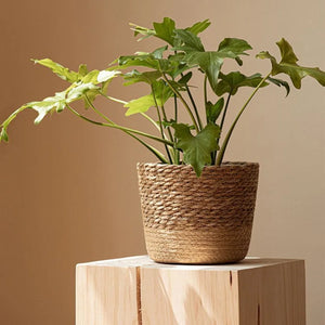 Wicker Basket