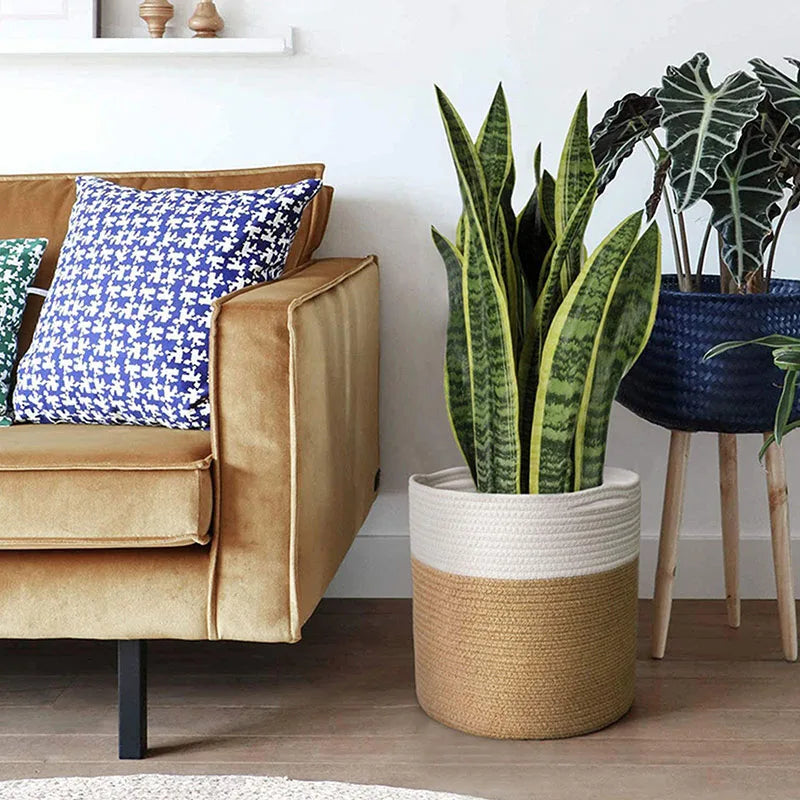 Cotton Rope Plant Basket