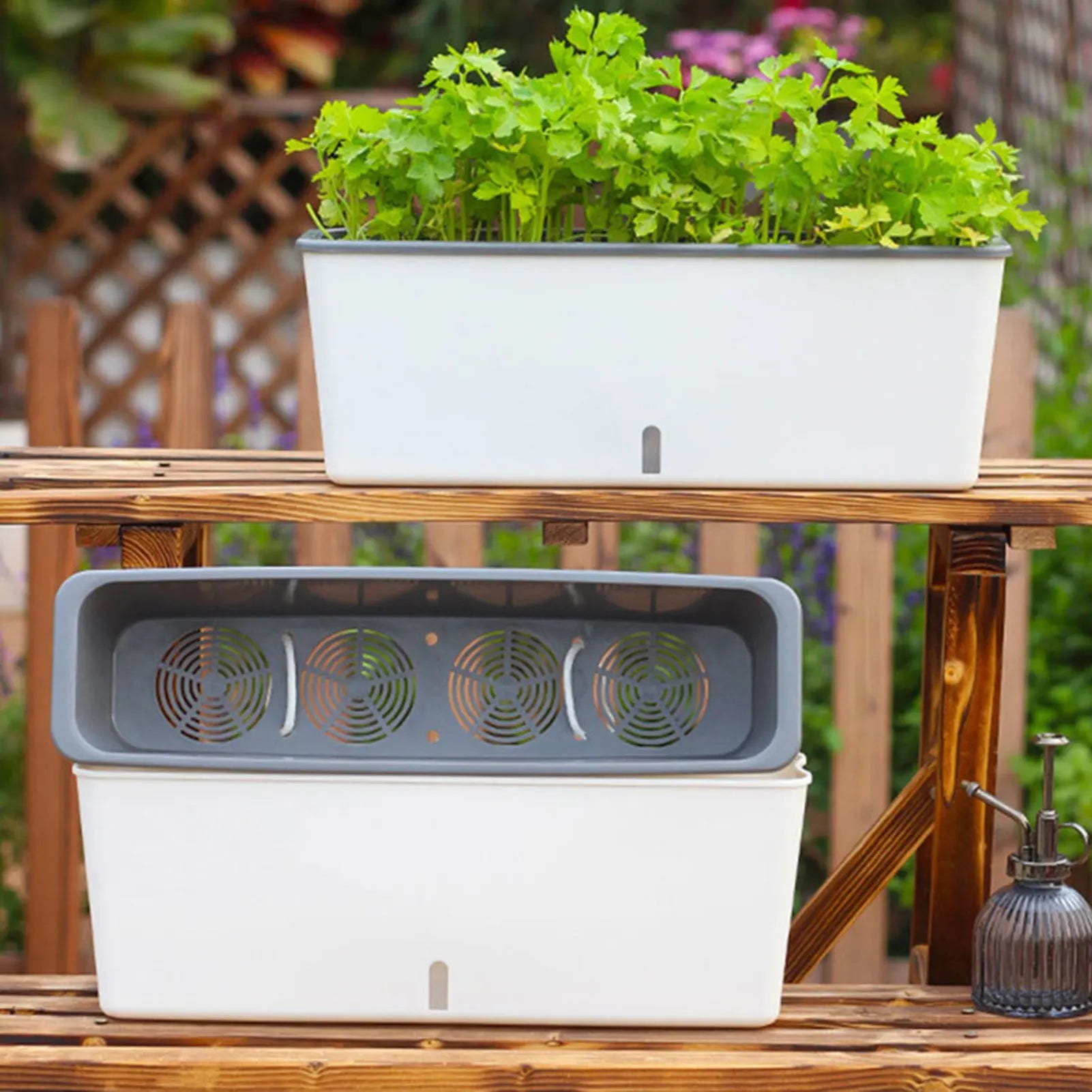 Self-Watering Planter Pot