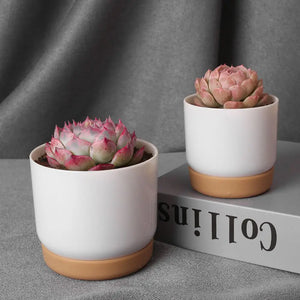 Minimalistic Plant Flowerpot
