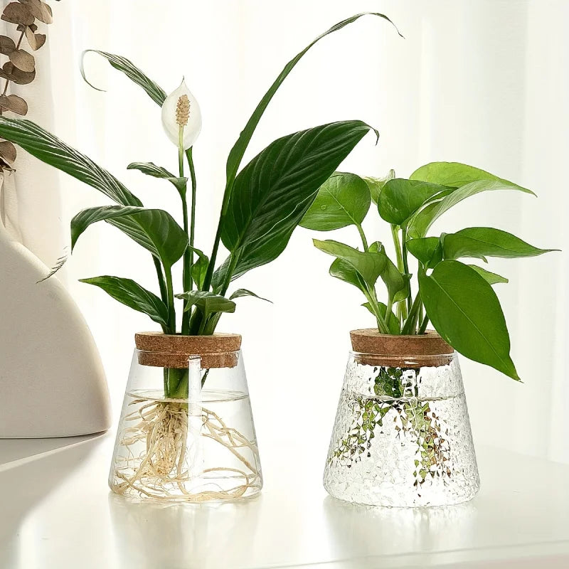 Glass Planter