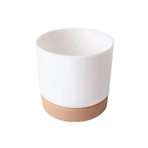 Minimalistic Plant Flowerpot