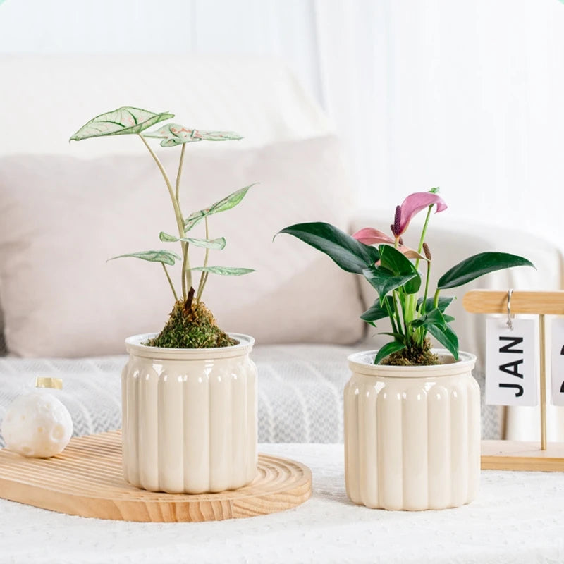 Self Watering Flowerpot