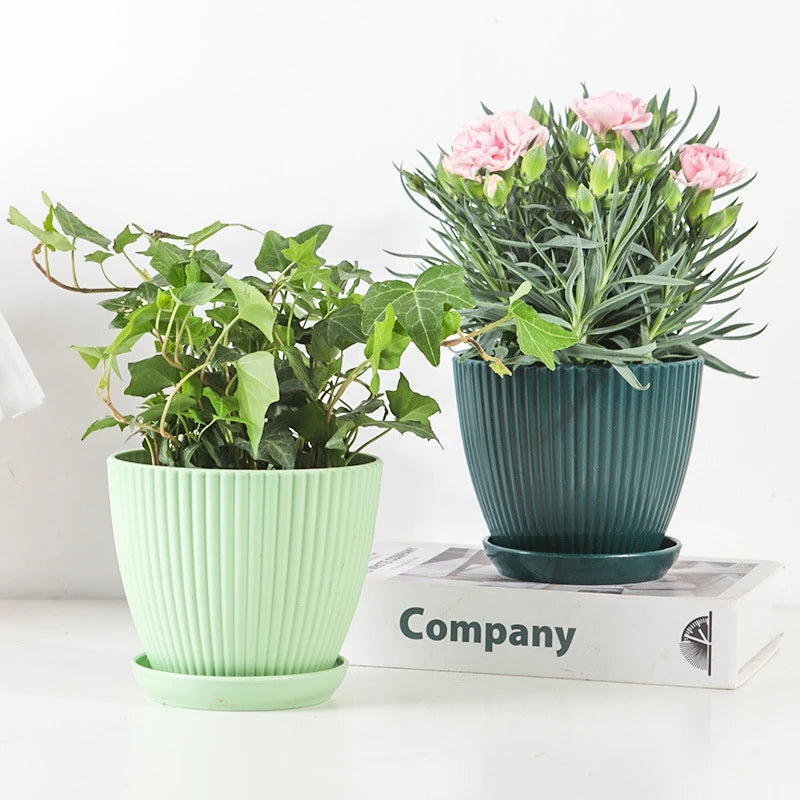 Succulent Plant Pot with Tray