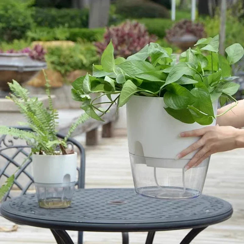 Self Watering Flower Pot