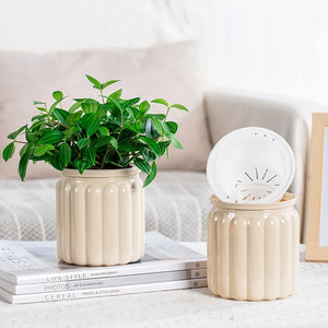 Self Watering Flowerpot