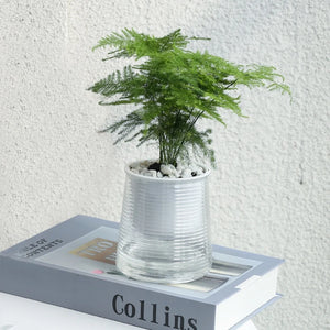 Self Watering Flowerpot