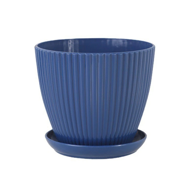 Succulent Plant Pot with Tray