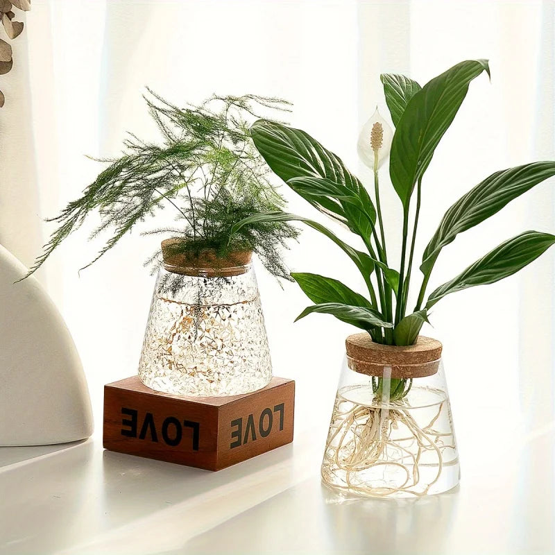 Glass Planter