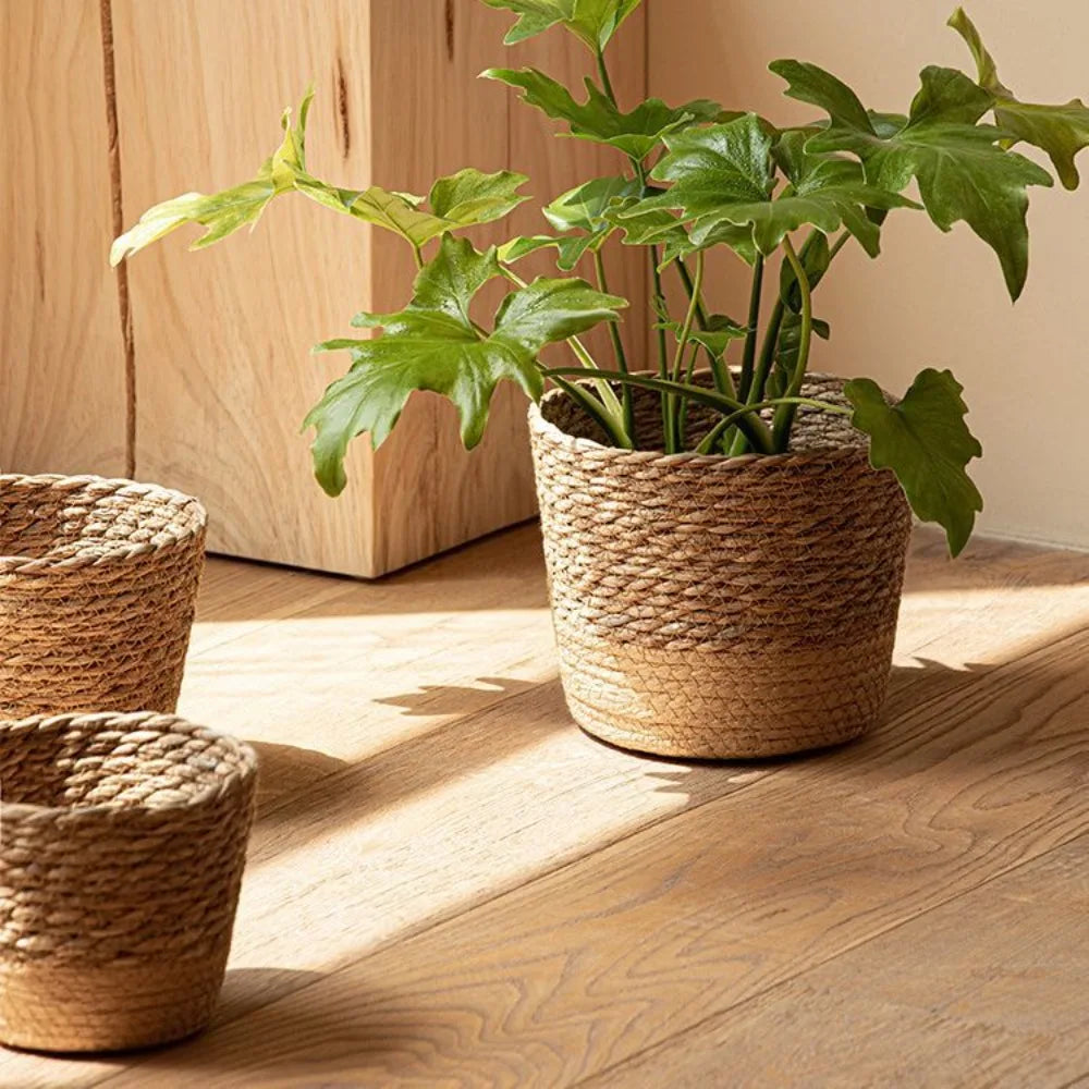 Wicker Basket