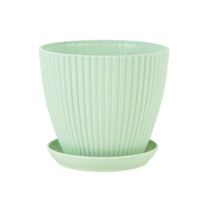 Succulent Plant Pot with Tray