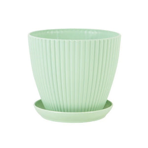 Succulent Plant Pot with Tray