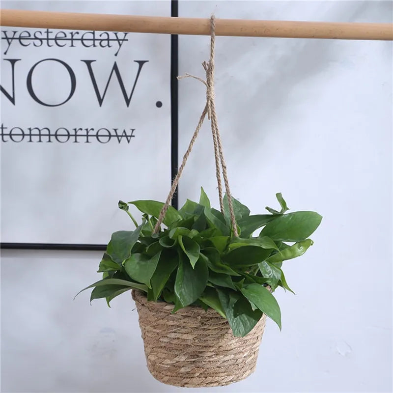 Woven Hanging Flower Pot