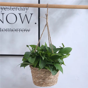 Woven Hanging Flower Pot