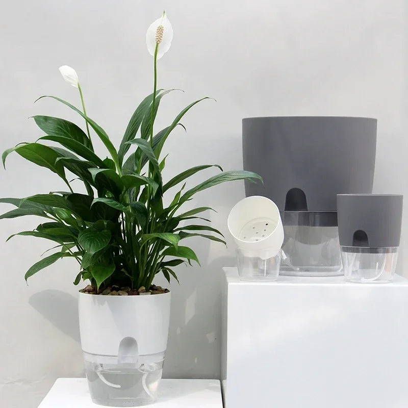 Self Watering Flower Pot
