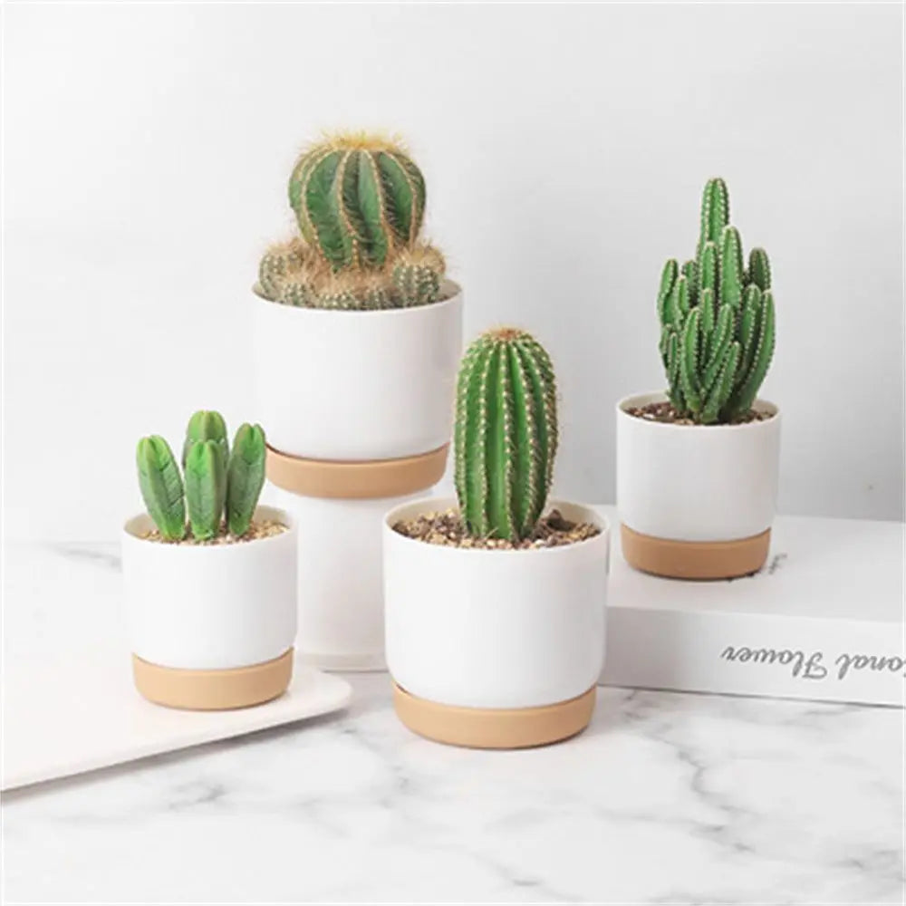 Minimalistic Plant Flowerpot