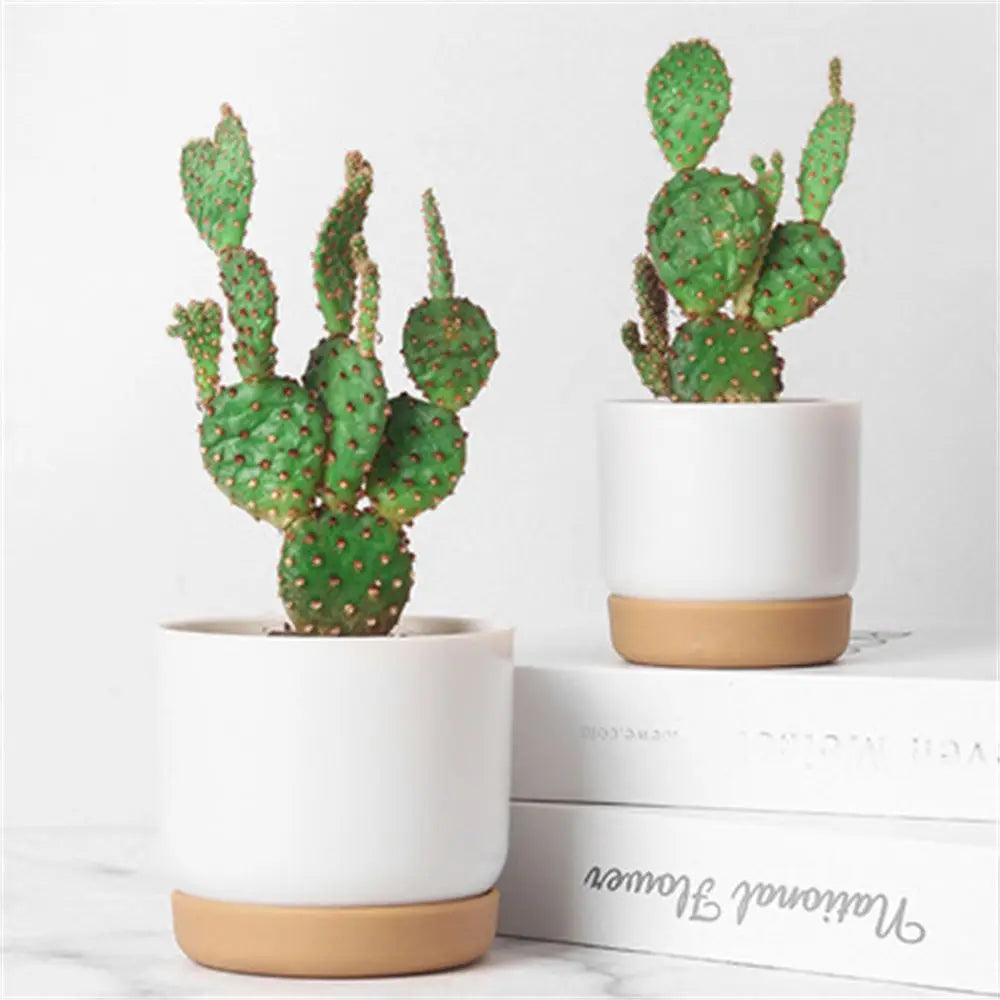 Minimalistic Plant Flowerpot