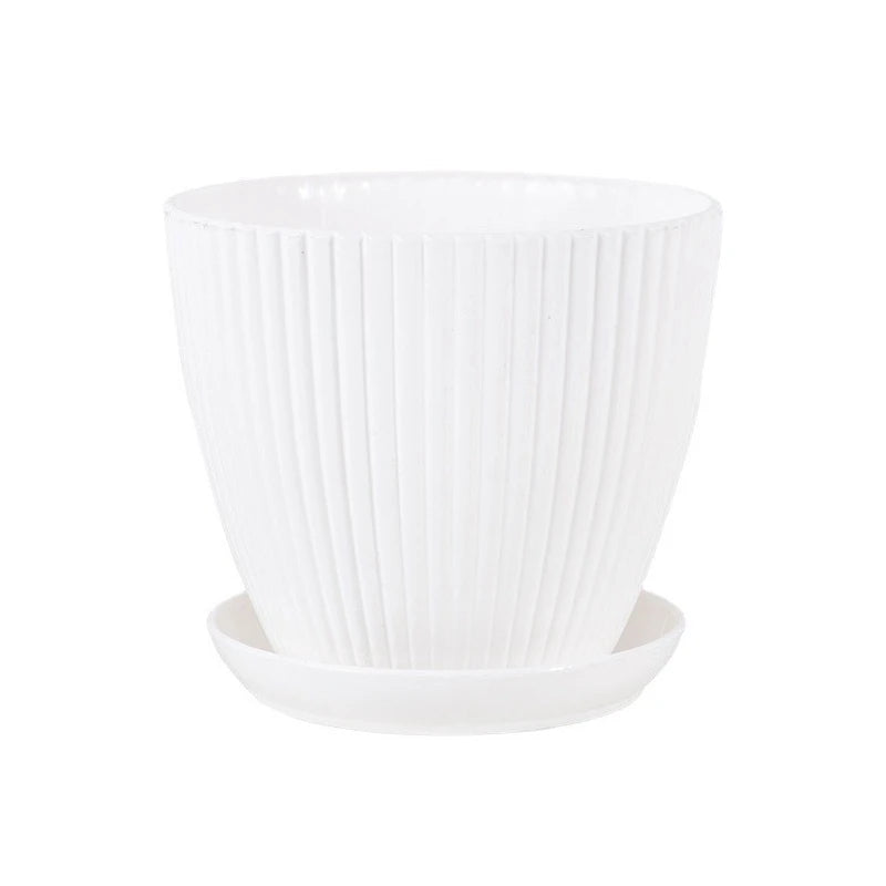 Succulent Plant Pot with Tray
