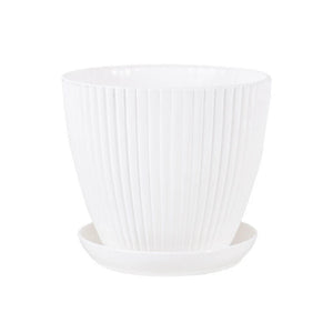 Succulent Plant Pot with Tray