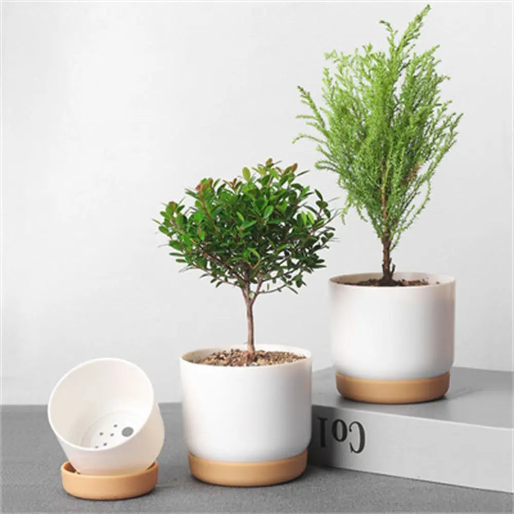 Minimalistic Plant Flowerpot
