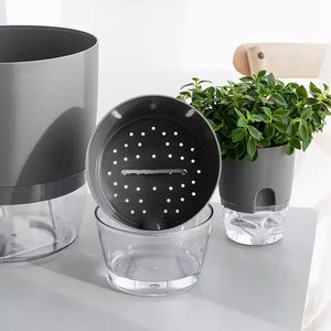 Self Watering Flower Pot