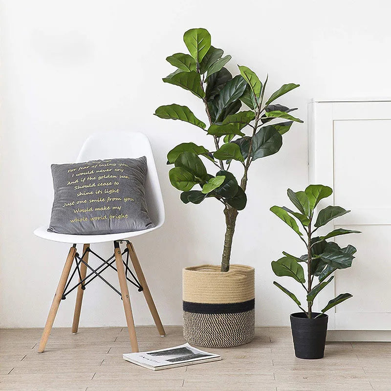 Cotton Rope Plant Basket