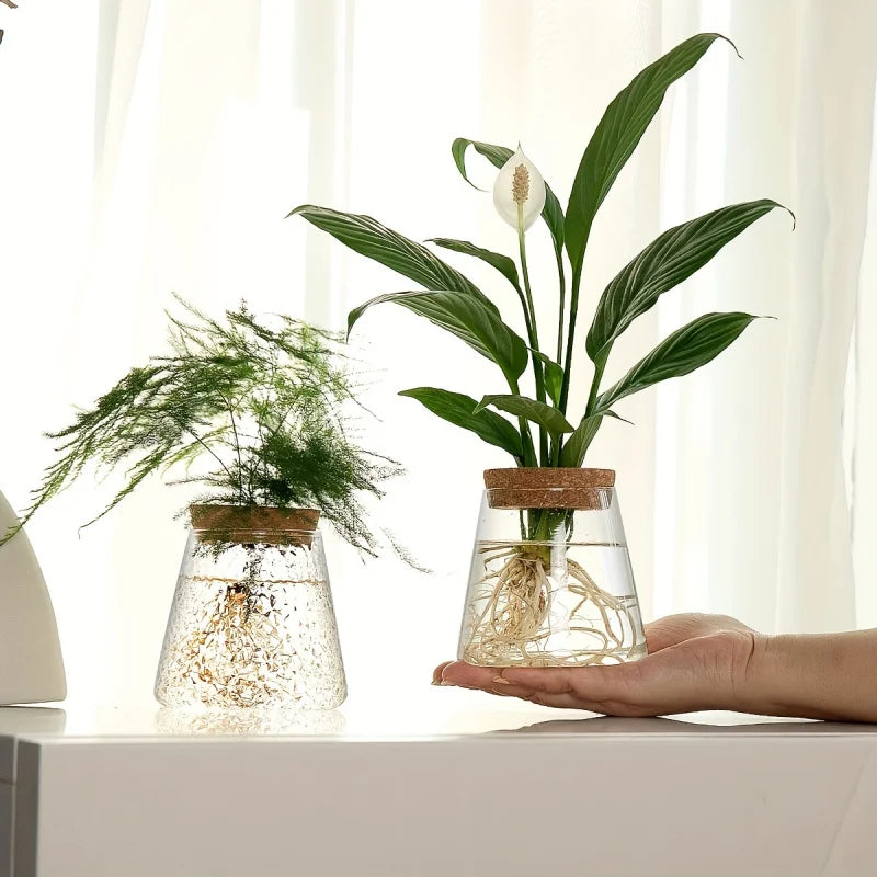 Glass Planter