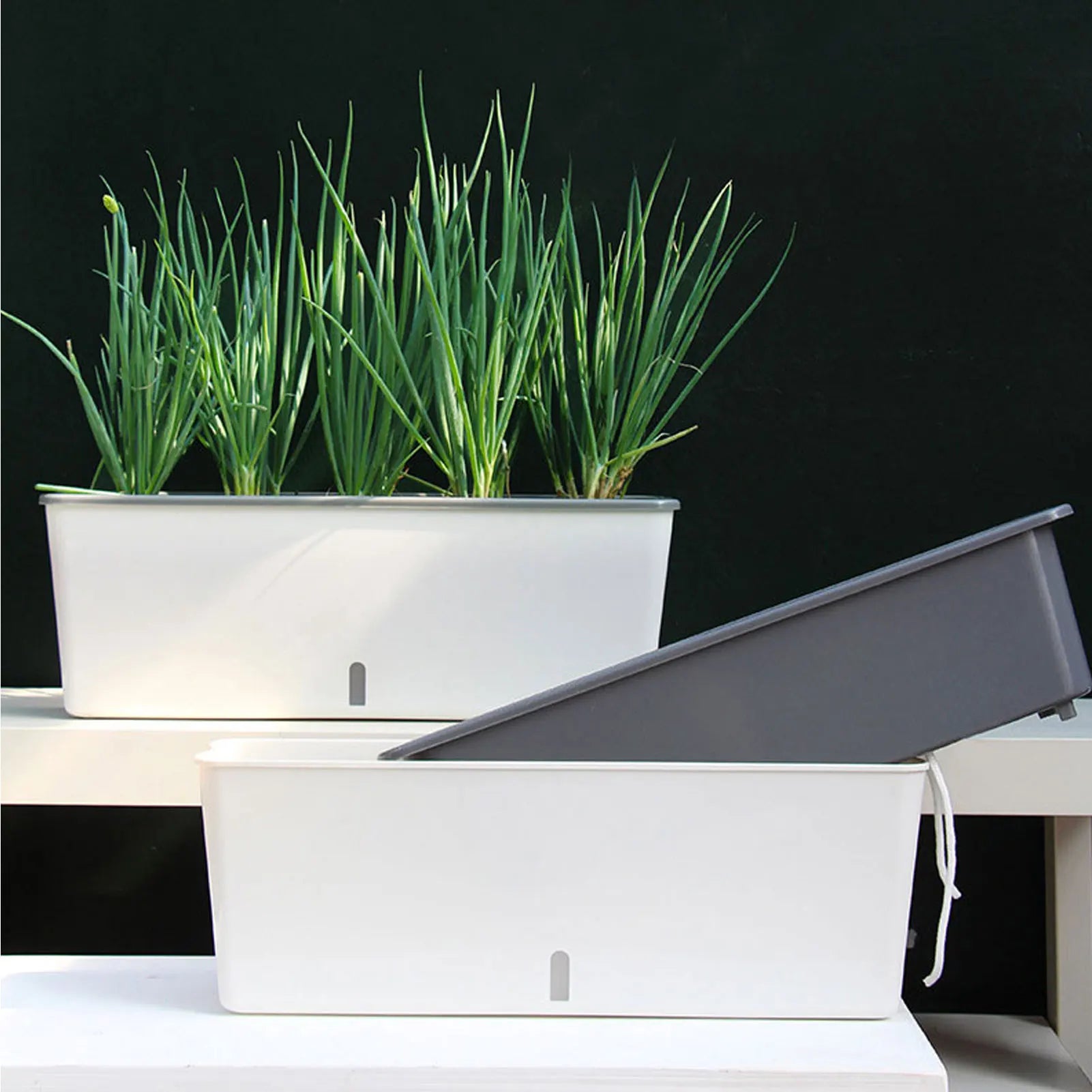 Self-Watering Planter Pot