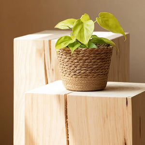 Wicker Basket