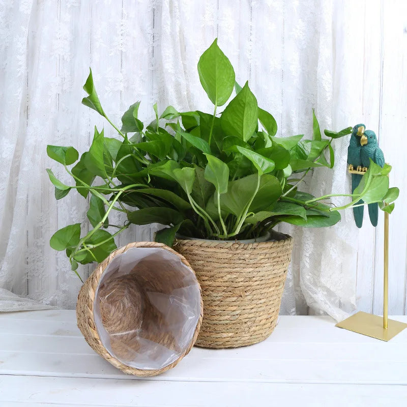 Straw Weaving Flower Plant Pot Basket