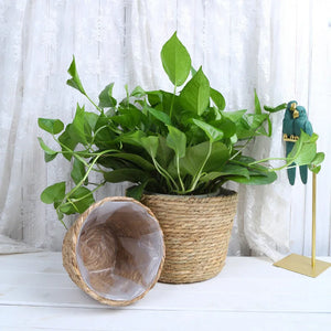 Straw Weaving Flower Plant Pot Basket