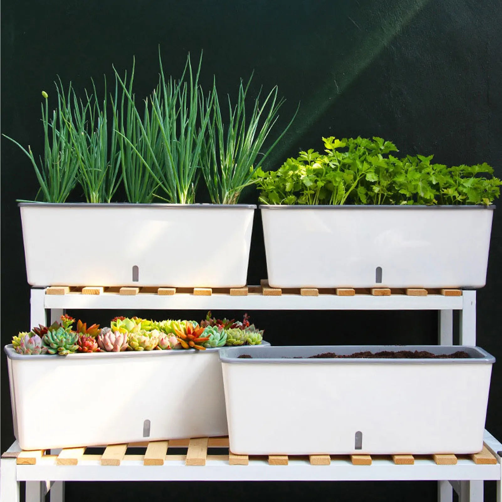 Self-Watering Planter Pot