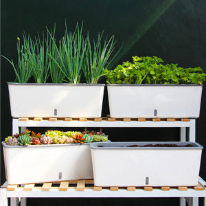 Self-Watering Planter Pot