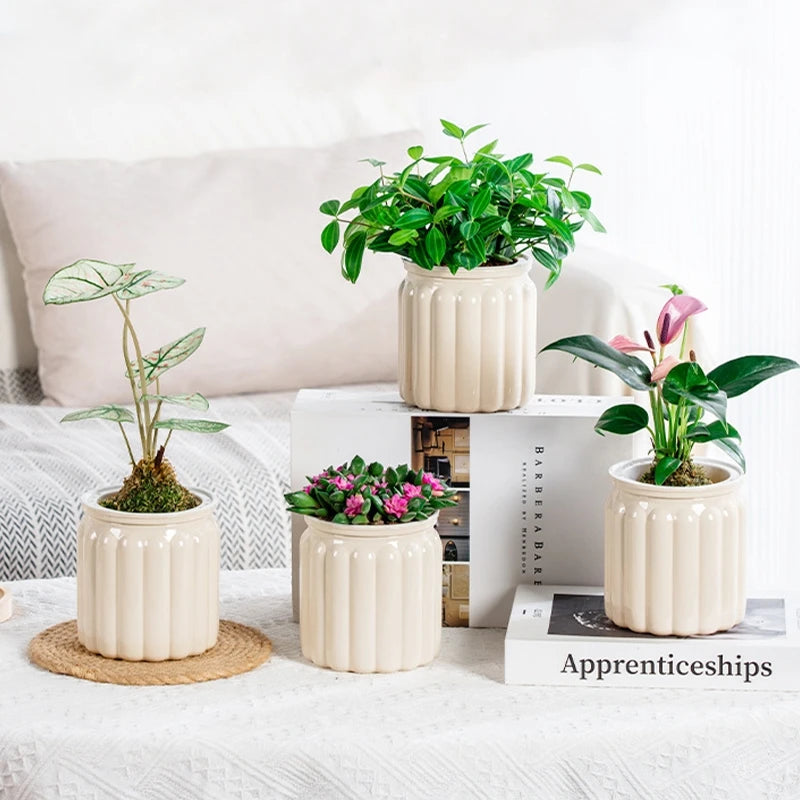 Self Watering Flowerpot