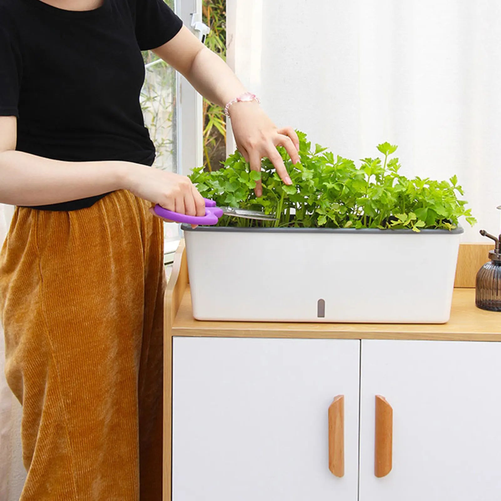 Self-Watering Planter Pot