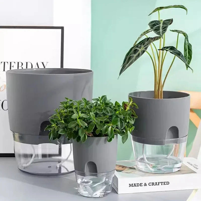Self Watering Flower Pot