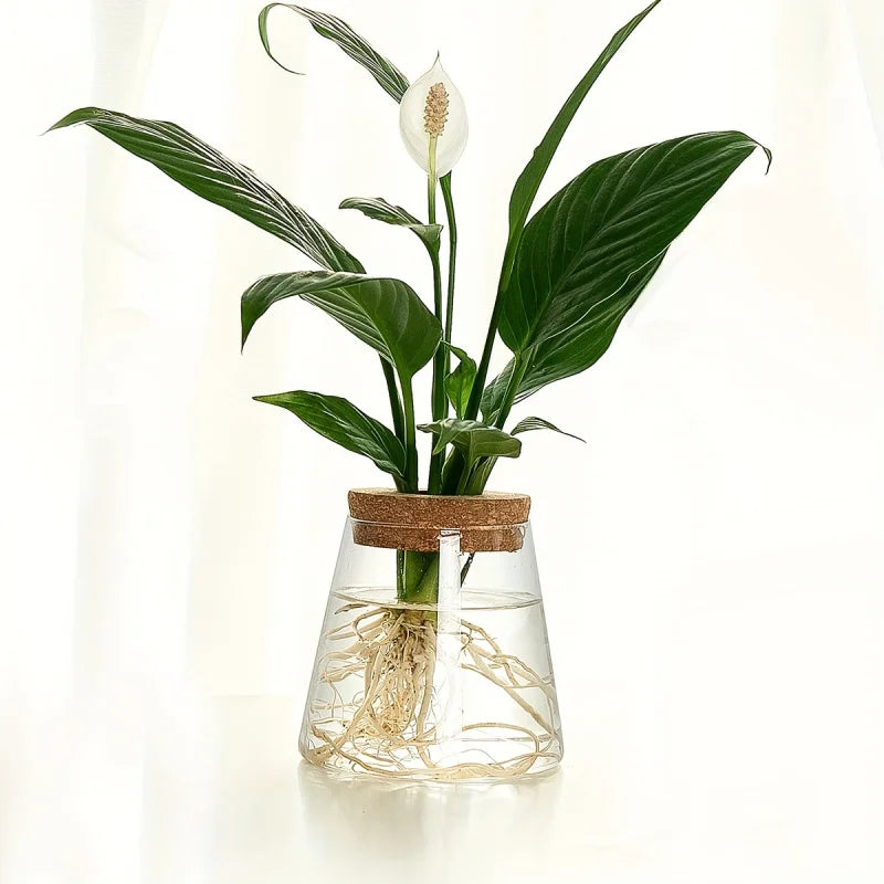 Glass Planter