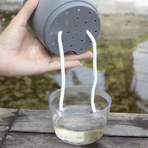 Self Watering Flower Pot